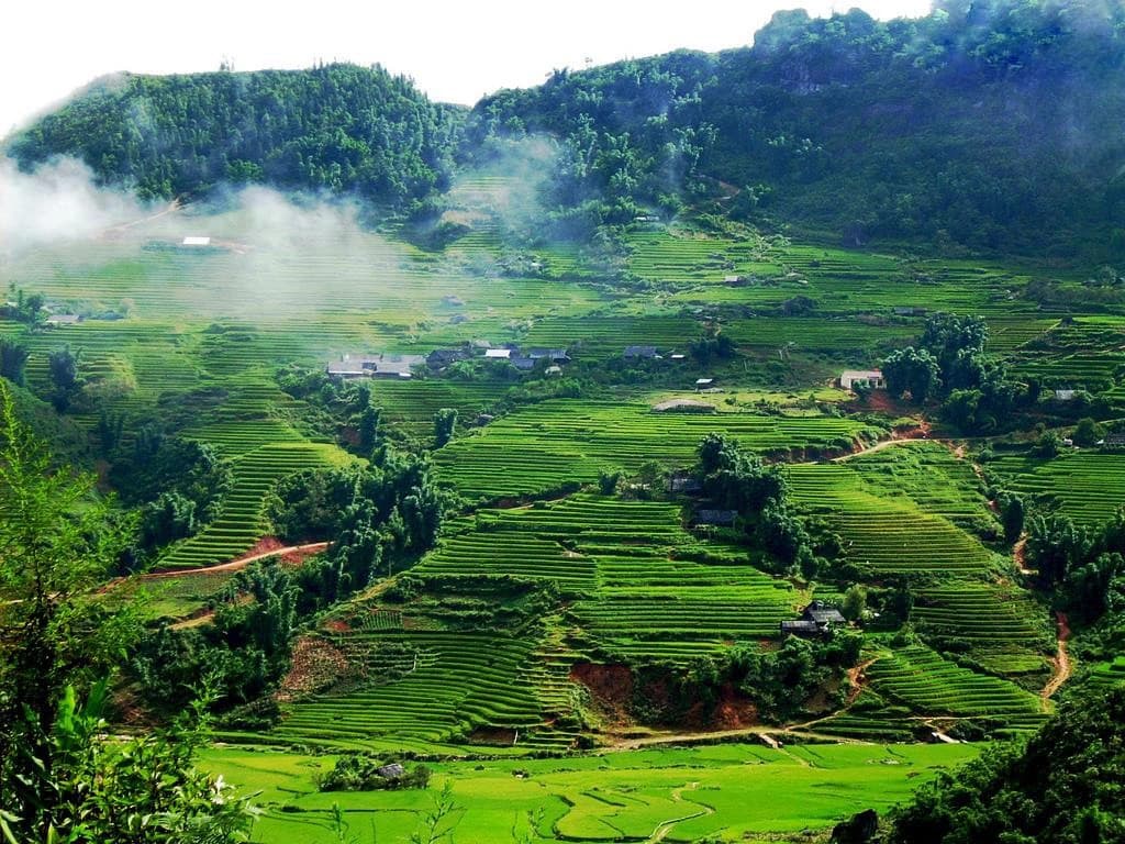 Lịch trình du lịch Mộc Châu 2 ngày 1 đêm chi tiết nhất