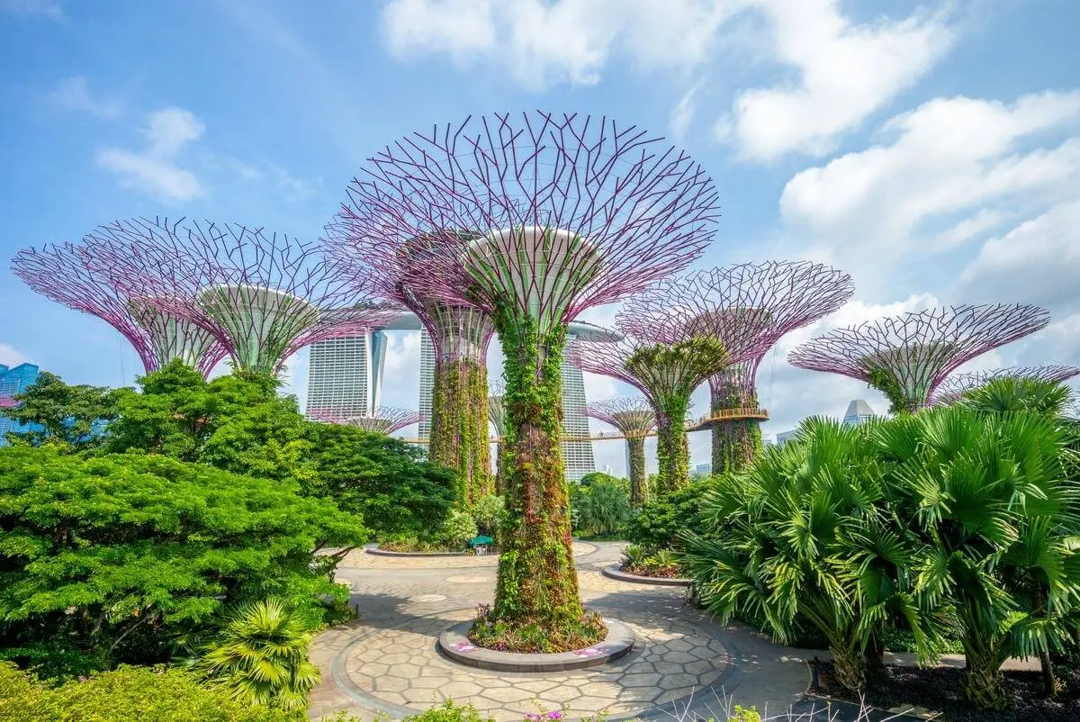 Phương tiện di chuyển khi đi du lịch Singapore