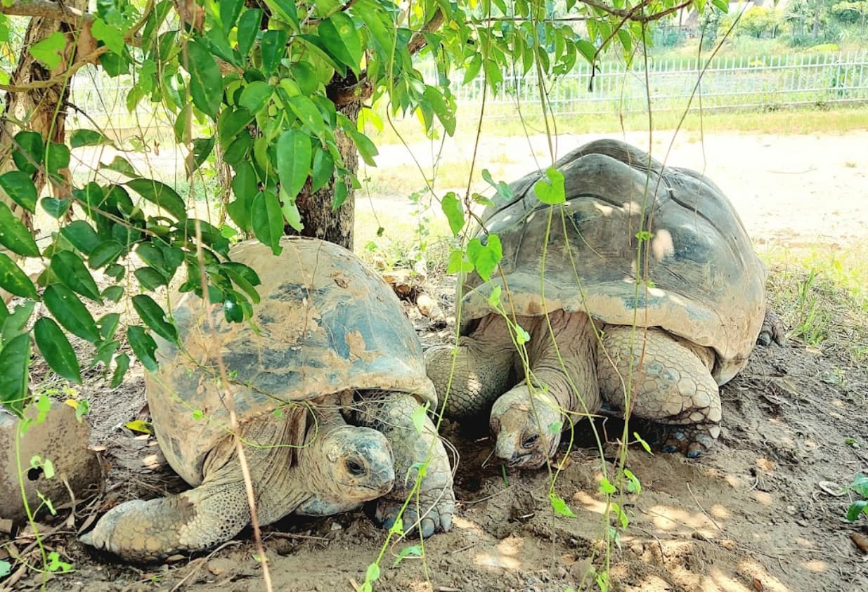 Khu văn hóa truyền thống