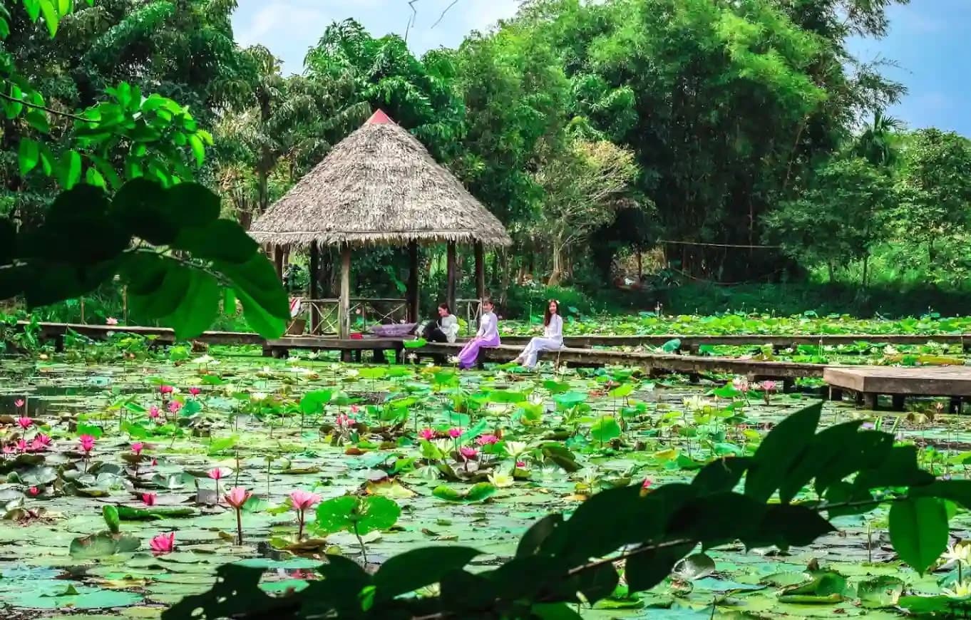 Chụp ảnh và tham gia các hoạt động văn hóa